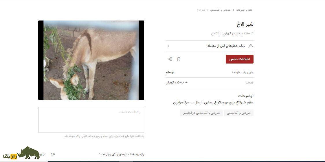 پنیر الاغ ۶۰ میلیون تومانی در تهران که صبحانه ثروتمندان ایرانی است