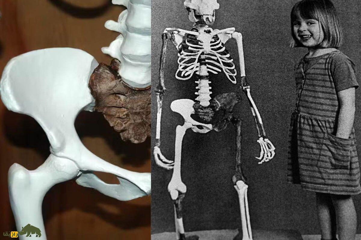 اسرار مادربزرگ سه میلیون ساله انسان که روی دو پا راه می‌رفت!