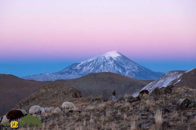 کشتی نوح در مرز ایران و ترکیه پیدا شد؟