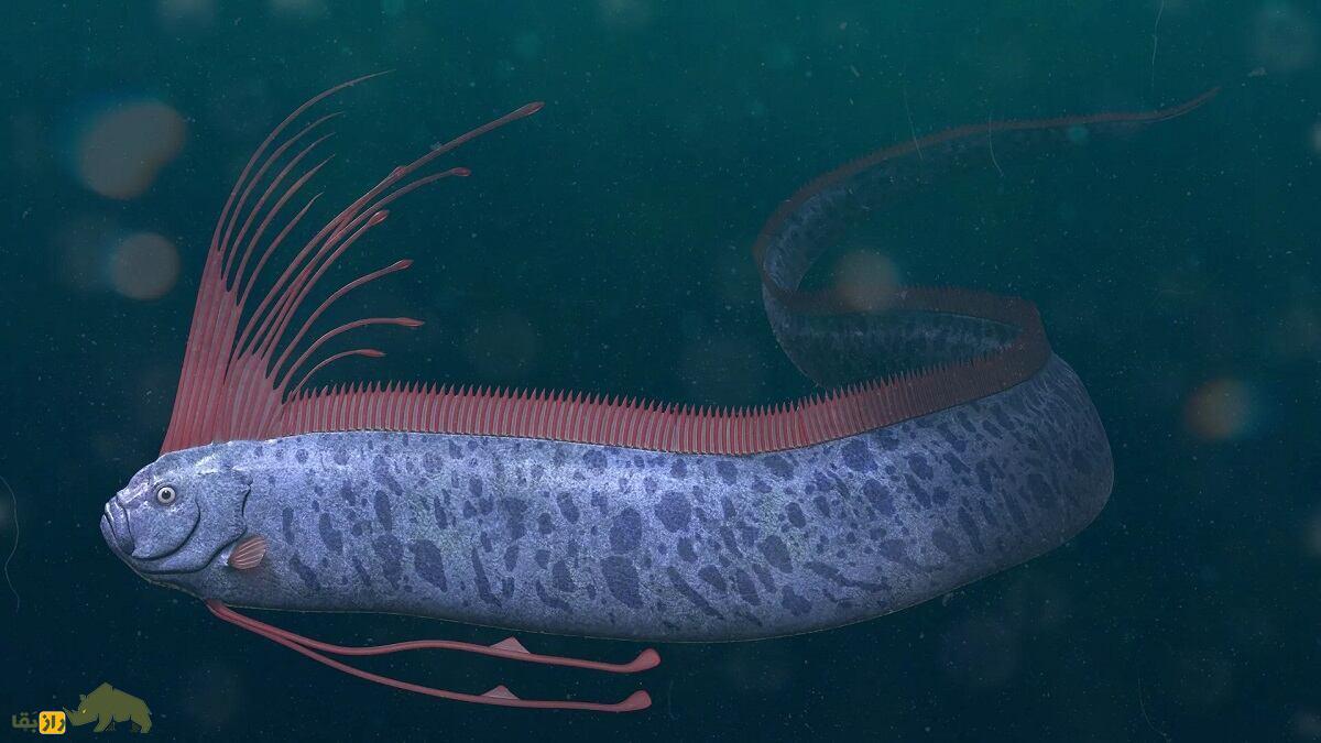 پارو ماهی؛ ماهی عجیبی که وقتی پیدا میشود زلزله رخ میدهد و با دیدن شکارچیان دمش را قطع میکند پارو ماهی؛ ماهی عجیبی که وقتی پیدا میشود زلزله رخ میدهد و با دیدن شکارچیان دمش را قطع میکند