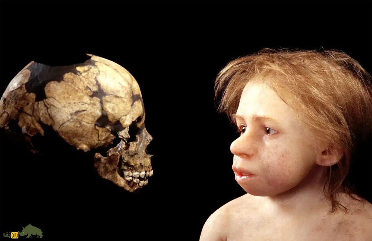 اسرار زندگی کودکان نئاندرتال؛ آنها در دنیای وحشی آن زمان چه میکردند؟ کودکان نئاندرتال