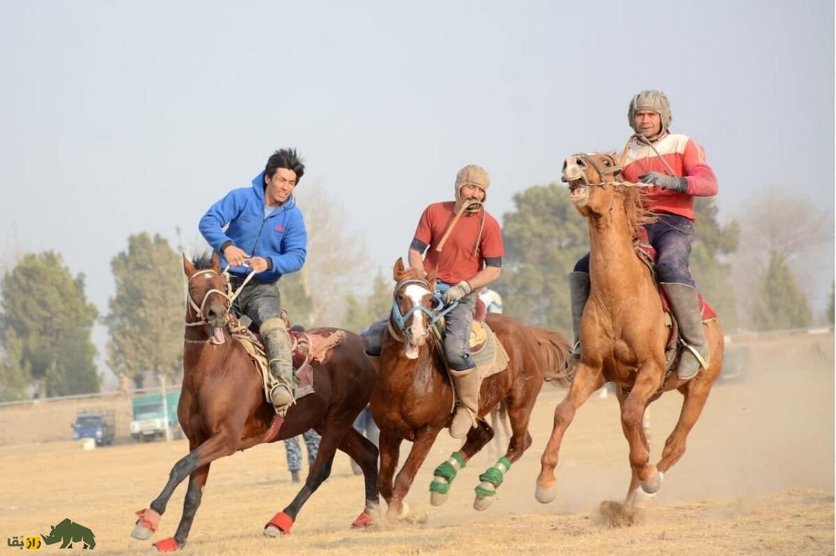 اسب «قرابایر» ازبکستان؛ اسبی که کشورها برای به دست آوردنش به خشونت متوسل شدند اسب «قرابایر» ازبکستان؛ اسبی که کشورها برای به دست آوردنش به خشونت متوسل شدند