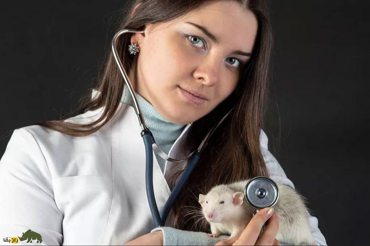 این حیواناتپ میتوانند بیماریهای انسانها را تشخیص دهند! این حیواناتپ میتوانند بیماریهای انسانها را تشخیص دهند!