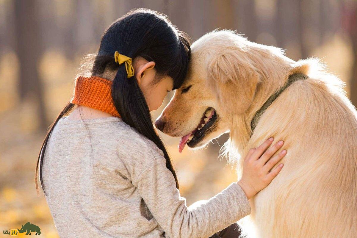 این حیواناتپ میتوانند بیماریهای انسانها را تشخیص دهند! این حیواناتپ میتوانند بیماریهای انسانها را تشخیص دهند!