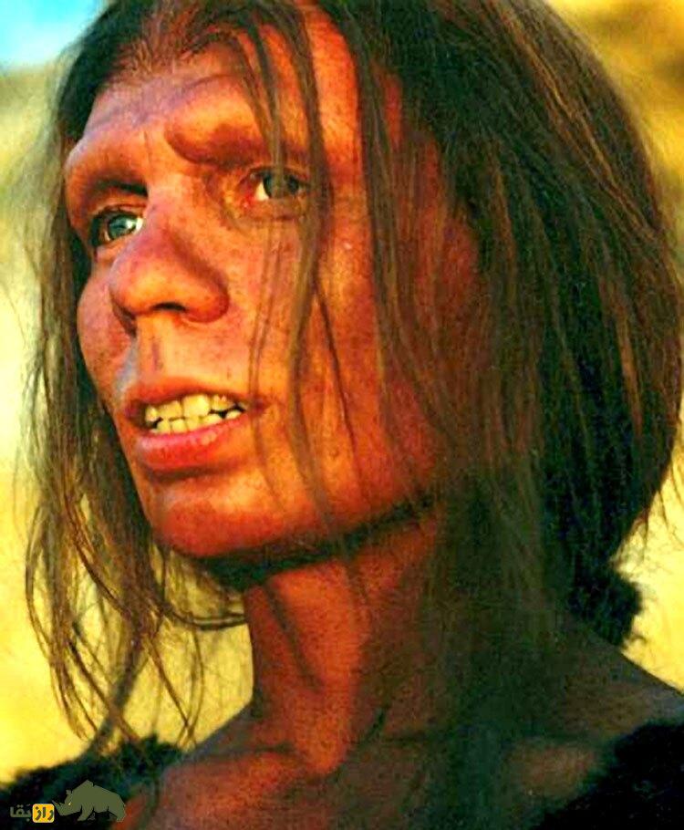 اسرار انسان‌های نخستین؛ زنان نخستین چه شکلی بودند و آیا خانه‌داری می‌کردند؟