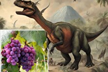 رابطه عجیب گسترش انگور در زمین با انقراض دایناسور‌ها!