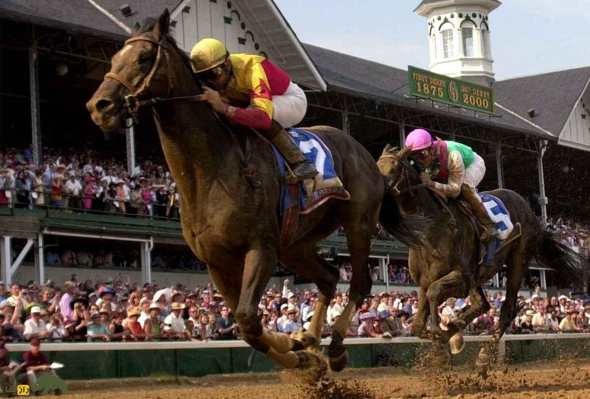 «فوسایچی پگاسوس»؛ اسبی که ارزش آن از لیونل مسی بیشتر است «فوسایچی پگاسوس»؛ اسبی که ارزش آن از لیونل مسی بیشتر است