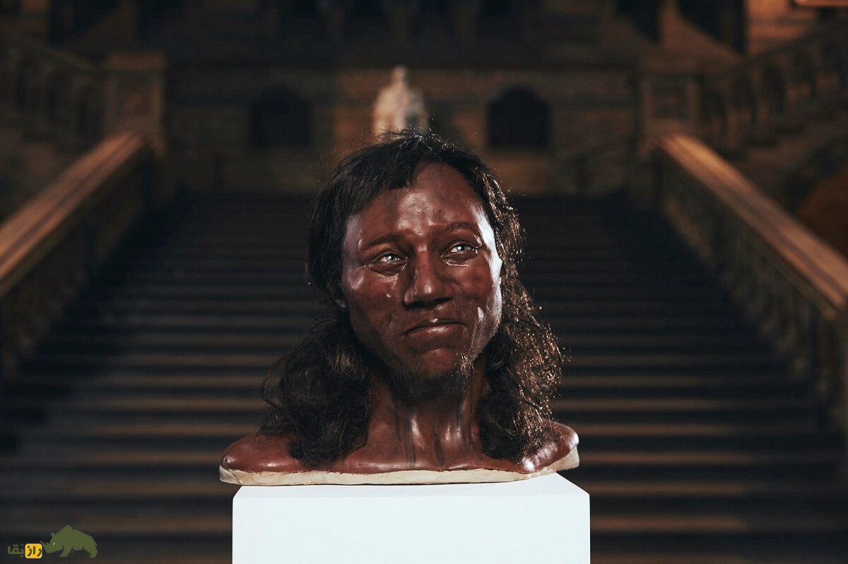 باورنکردنی؛ نوه یک اسکلت انگلیسی ۹۰۰۰ ساله زنده و اکنون معلم تاریخ است