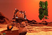 کشف حیرت‌انگیز دانشمندان: خزه می‌تواند در مریخ رشد کند!