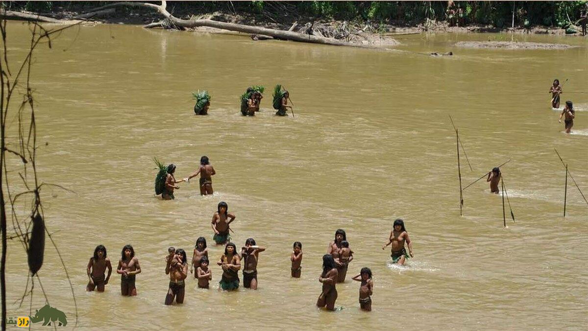 پیدا شدن «منزوی‌ترین قبیله جهان» در آمازون؛ آنها به شیوه انسان‌های اولیه زندگی می‌کنند