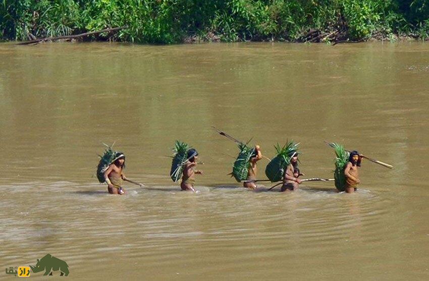 پیدا شدن «منزوی‌ترین قبیله جهان» در آمازون؛ آنها به شیوه انسان‌های اولیه زندگی می‌کنند