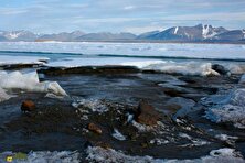 کشف باورنکردنی یک جزیره جدید در قطب شمال!