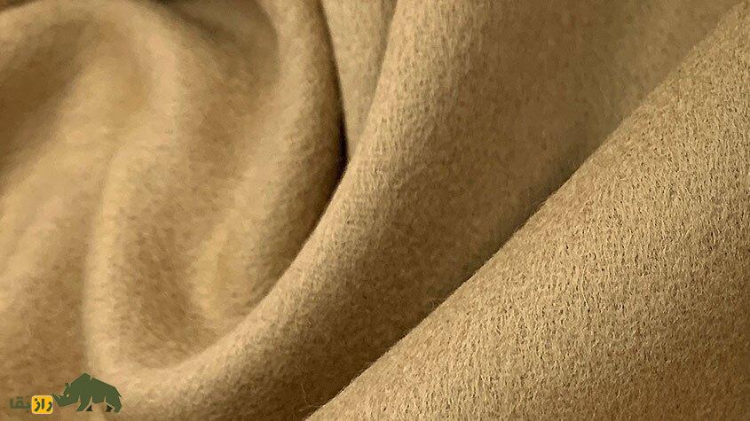 «بز کشمیری»؛ بز معروفی که سالی نزدیک ۴۰۰ گرم «پشم کشمیری» میدهد پارچه کشمیری