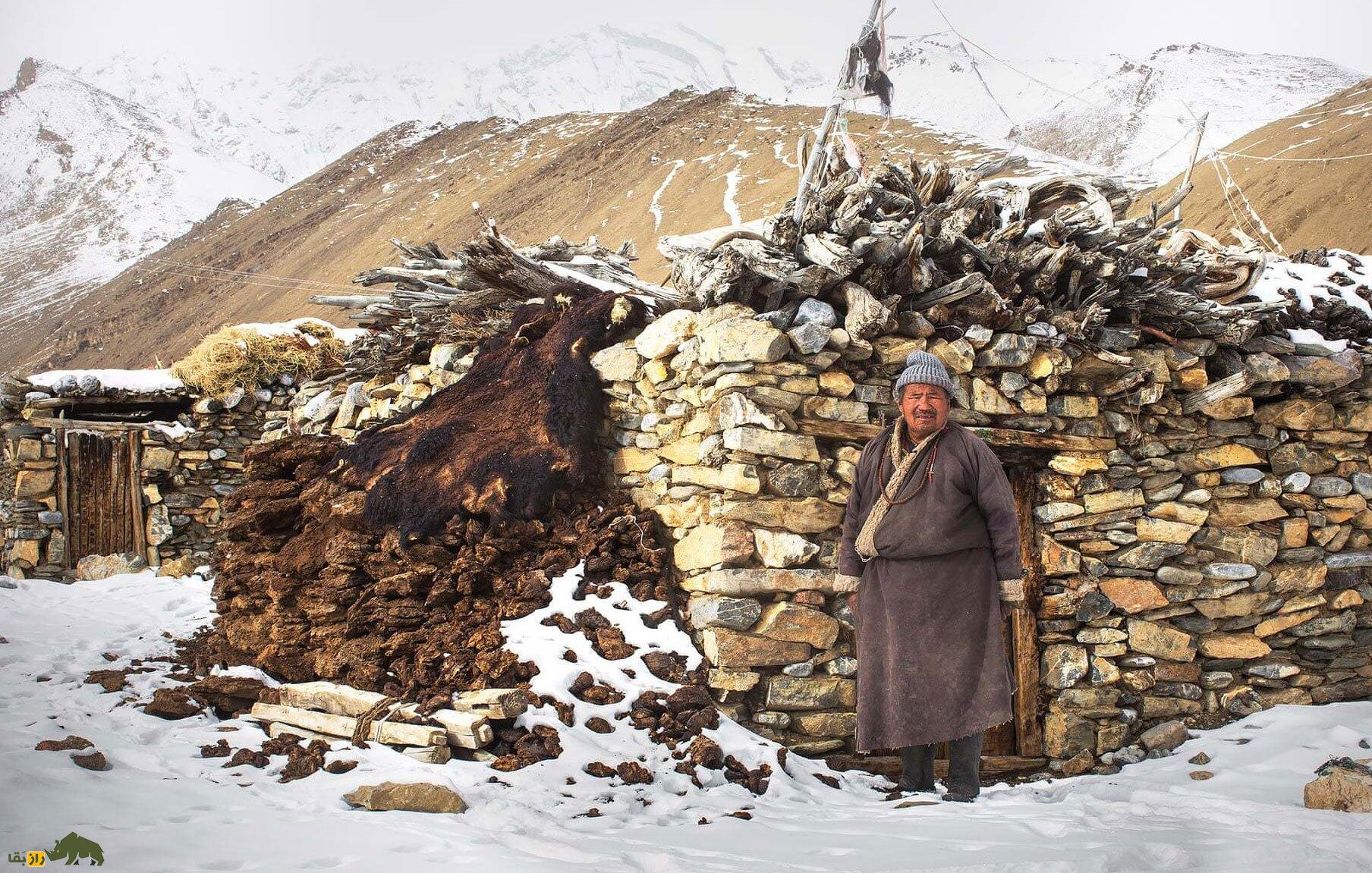 «بز کشمیری»؛ بز محبوبی که جان میلیونها انسان از هیمالیا تا بریتانیا را از مرگ نجات داده است! «بز کشمیری»؛ بز محبوبی که جان میلیونها انسان از هیمالیا تا بریتانیا را از مرگ نجات داده است!