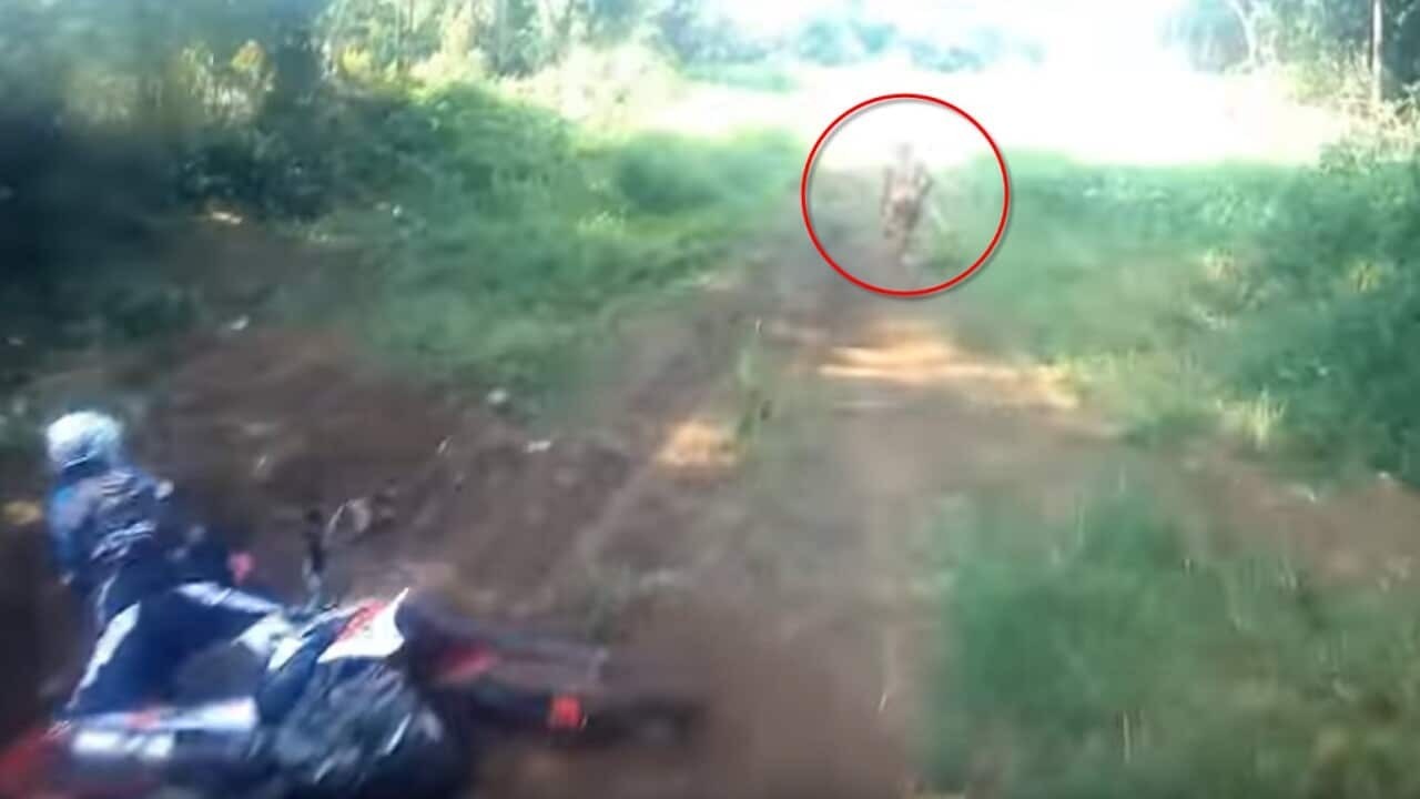 وحشت در اندونزی؛ قوم یأجوج و مأجوج پیدا شدند؟ وحشت در اندونزی؛ قوم یأجوج و مأجوج پیدا شدند؟