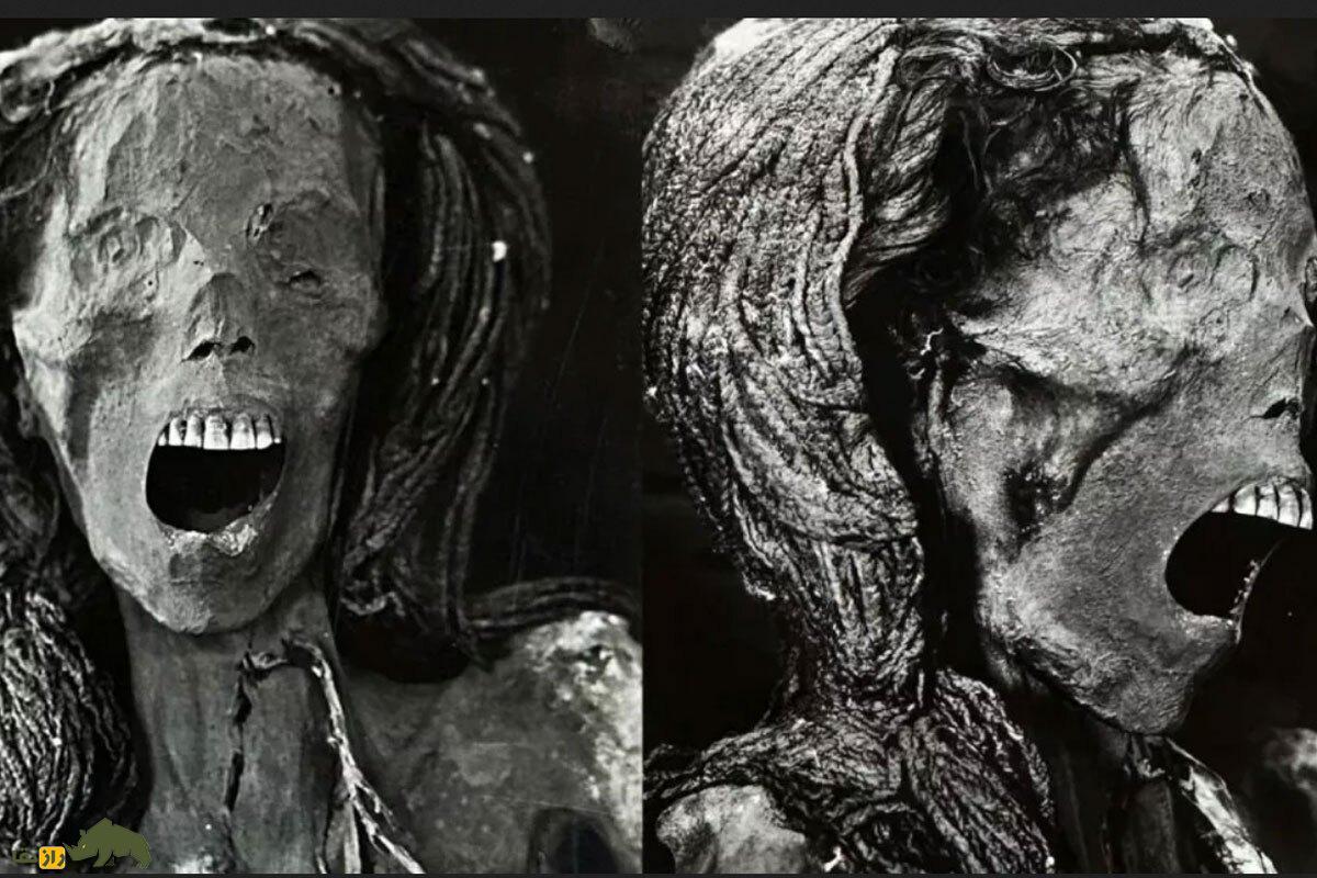 اسرار تکاندهنده «مومیایی جیغزن»؛ ۳۵۰۰ سال پیش چه اتفاقی برای این زن افتاد؟ اسرار تکاندهنده «مومیایی جیغزن»؛ ۳۵۰۰ سال پیش چه اتفاقی برای این زن افتاد؟