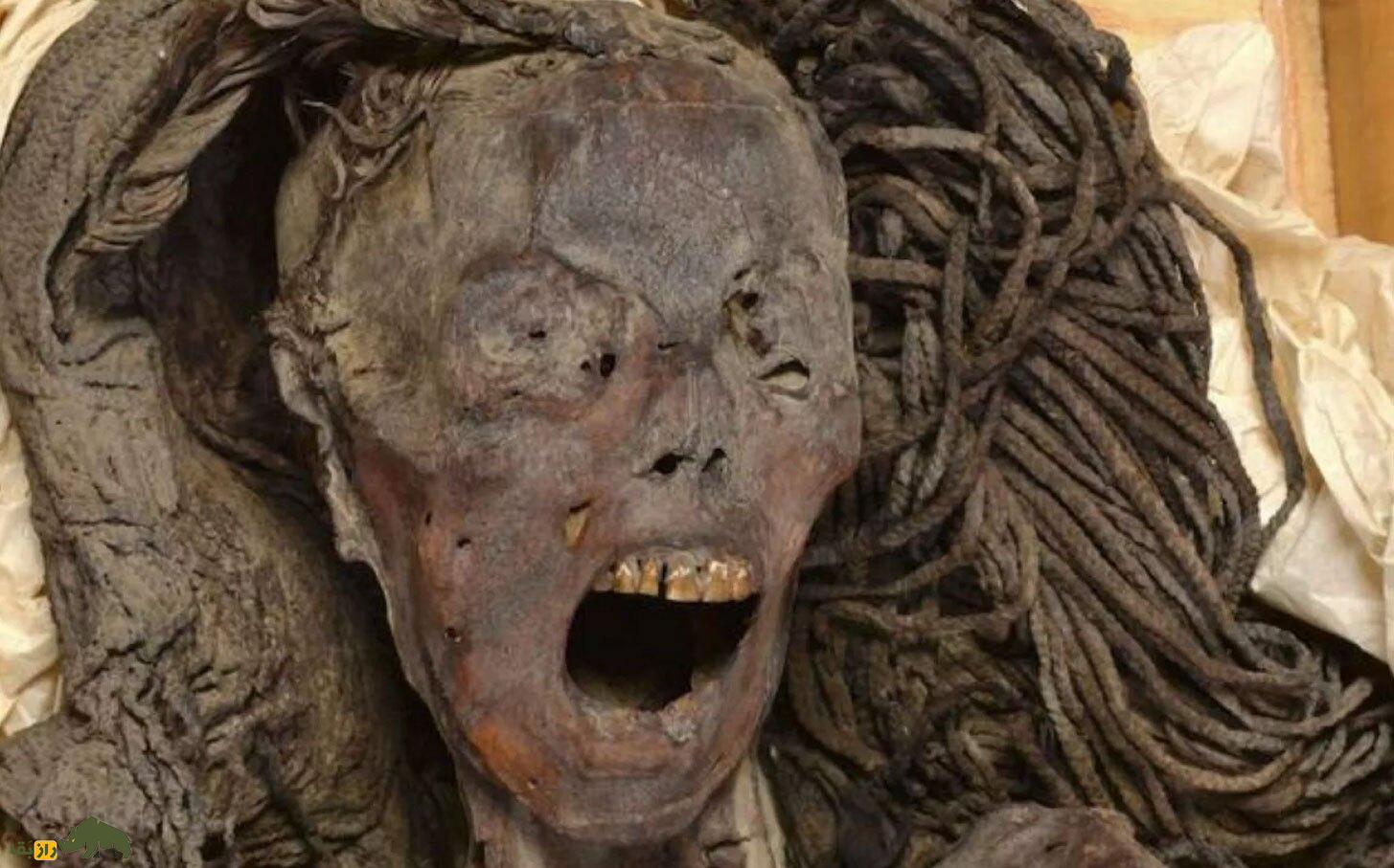 اسرار تکاندهنده «مومیایی جیغزن»؛ ۳۵۰۰ سال پیش چه اتفاقی برای این زن افتاد؟ اسرار تکاندهنده «مومیایی جیغزن»؛ ۳۵۰۰ سال پیش چه اتفاقی برای این زن افتاد؟