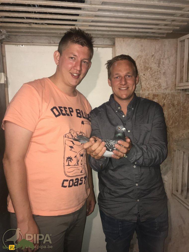 کابالِرو؛ کفتر هلندی که رکورد تاریخی سرعت را شکست