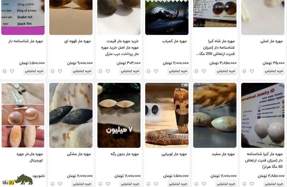 مهره مار چیست و در کجای بدن مار قرار داد و چطور میشود آن را درآورد؟ مهره مار چیست و در کجای بدن مار قرار داد و چطور میشود آن را درآورد؟