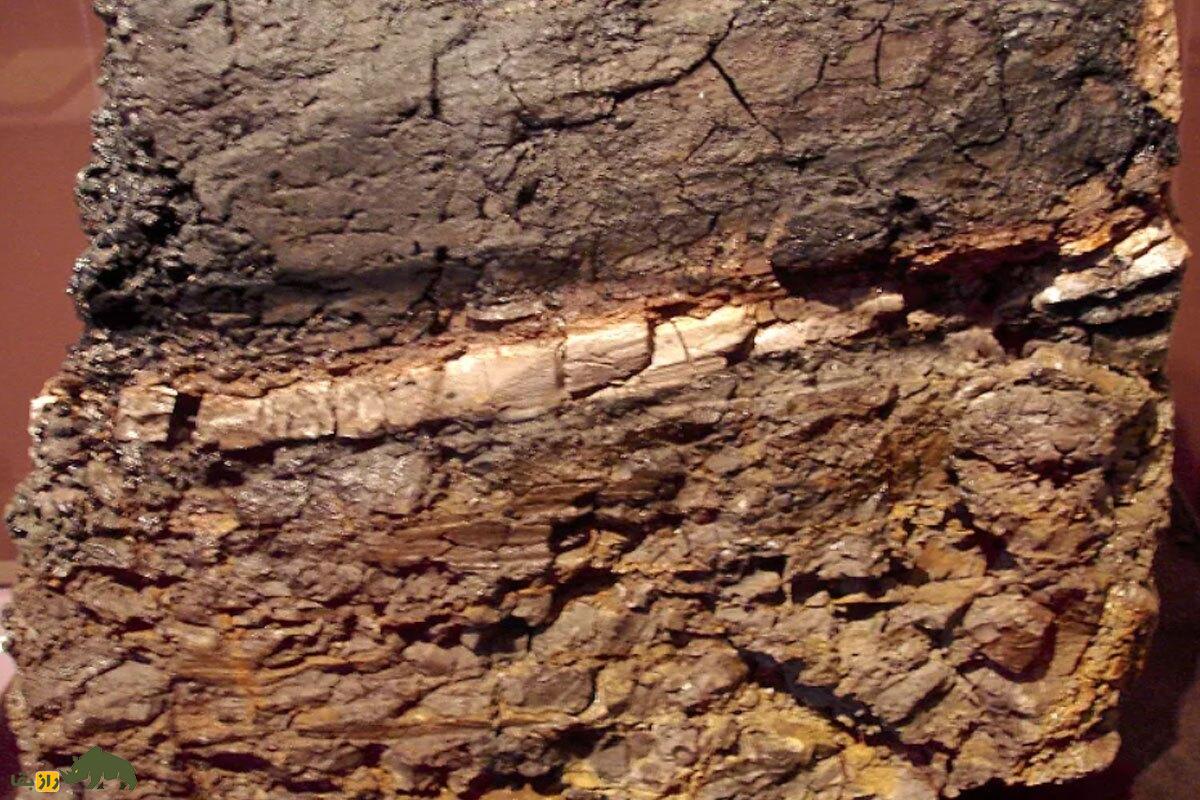 کشف جدید درباره عامل قتل‌عام دایناسور‌ها