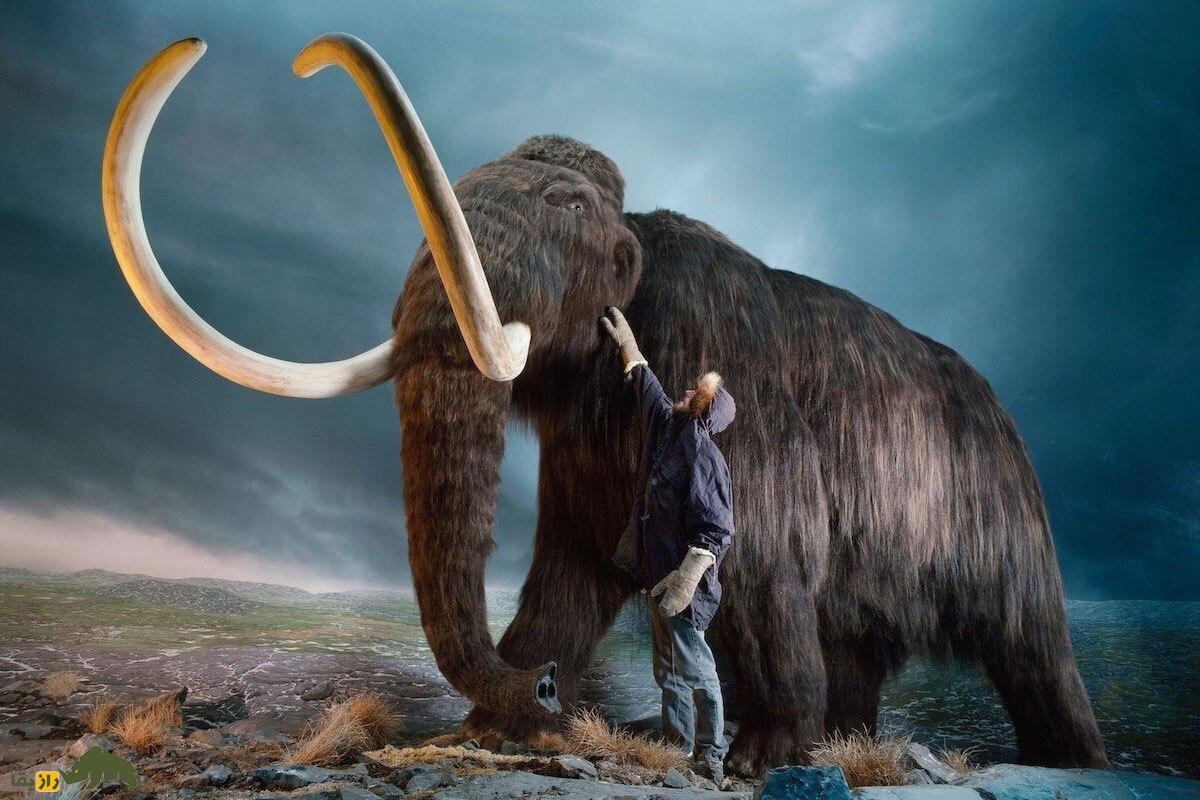 ماموت‌های غول‌پیکر