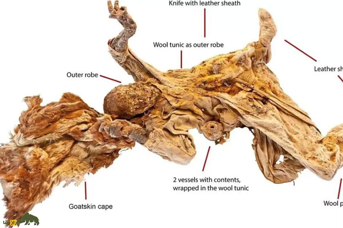 افشای رژیم غذایی ایرانیان باستان و مرگ تکان‌دهنده مردان نمکی