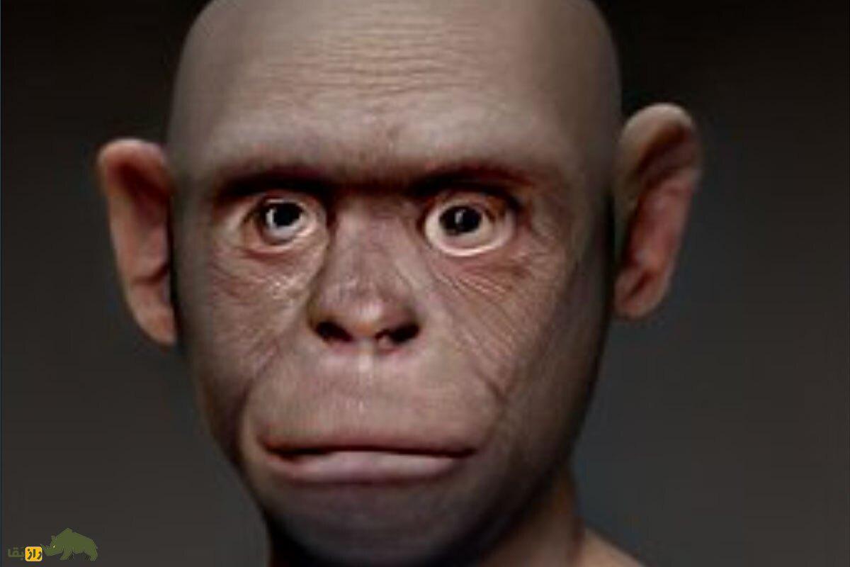 داستان تکاندهنده مرد گوریل نمایی که در جنگلهای برزیل کشف شد! انسان میمون نما