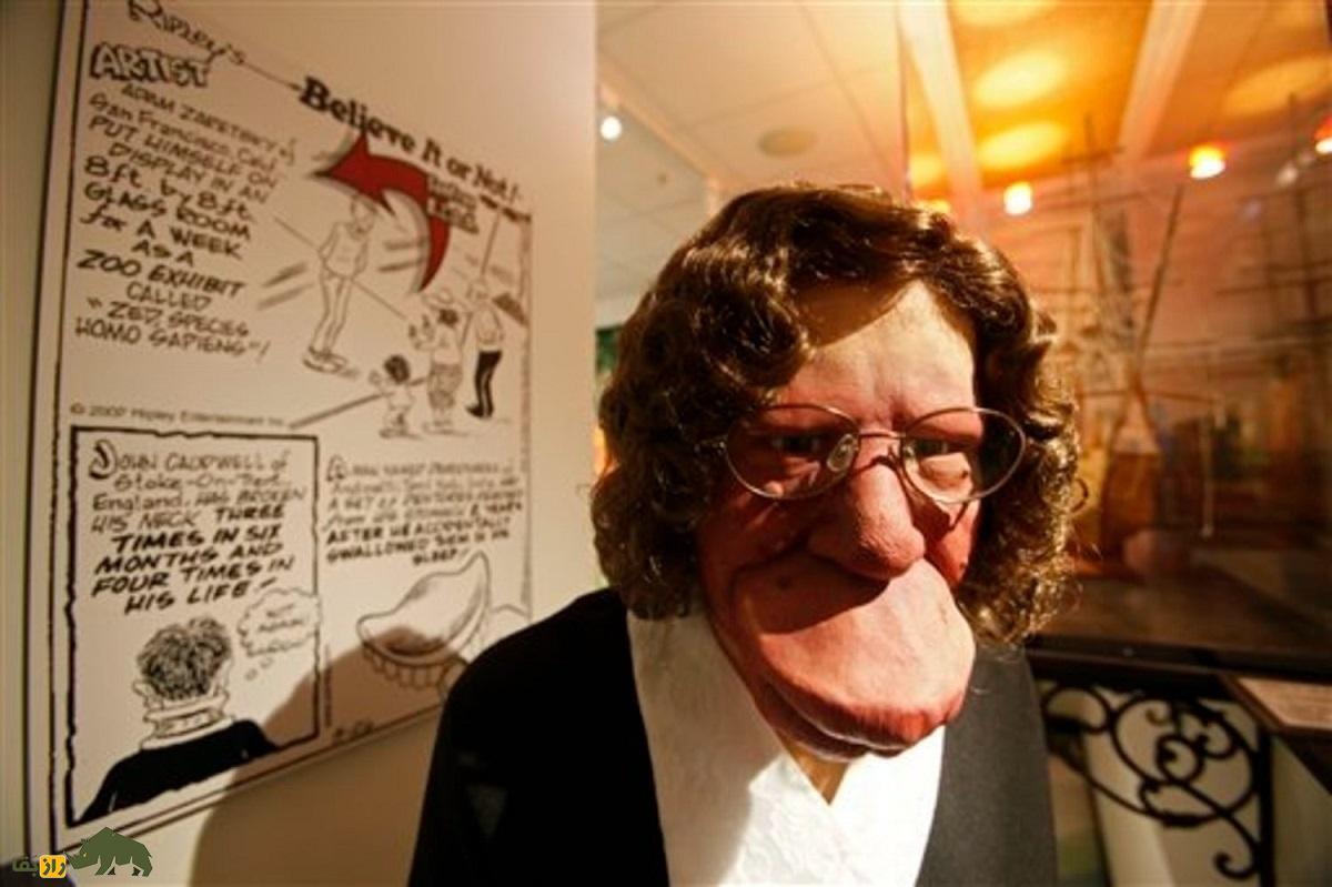 داستان تکاندهنده مرد گوریل نمایی که در جنگلهای برزیل کشف شد! زنی شبیه قاطر