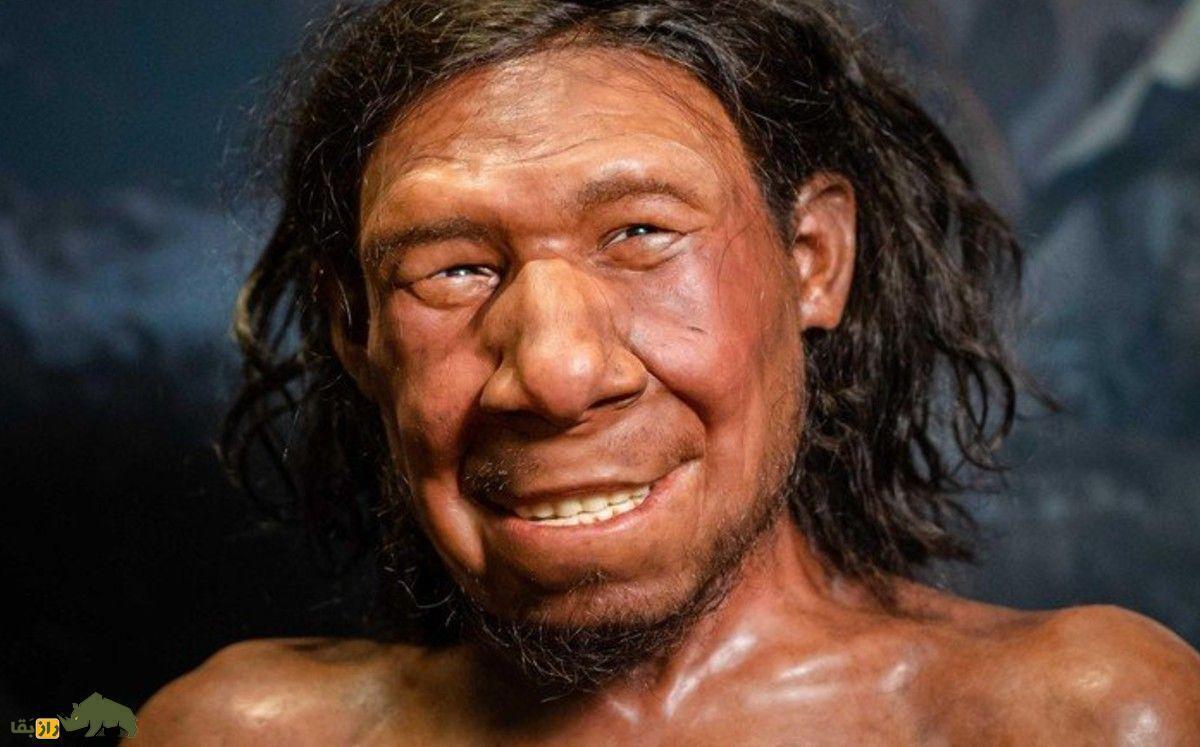 شواهدی غافلگیرکننده درباره دلیل انقراض نئاندرتالها کشف شد! شواهدی غافلگیرکننده درباره دلیل انقراض نئاندرتالها کشف شد!