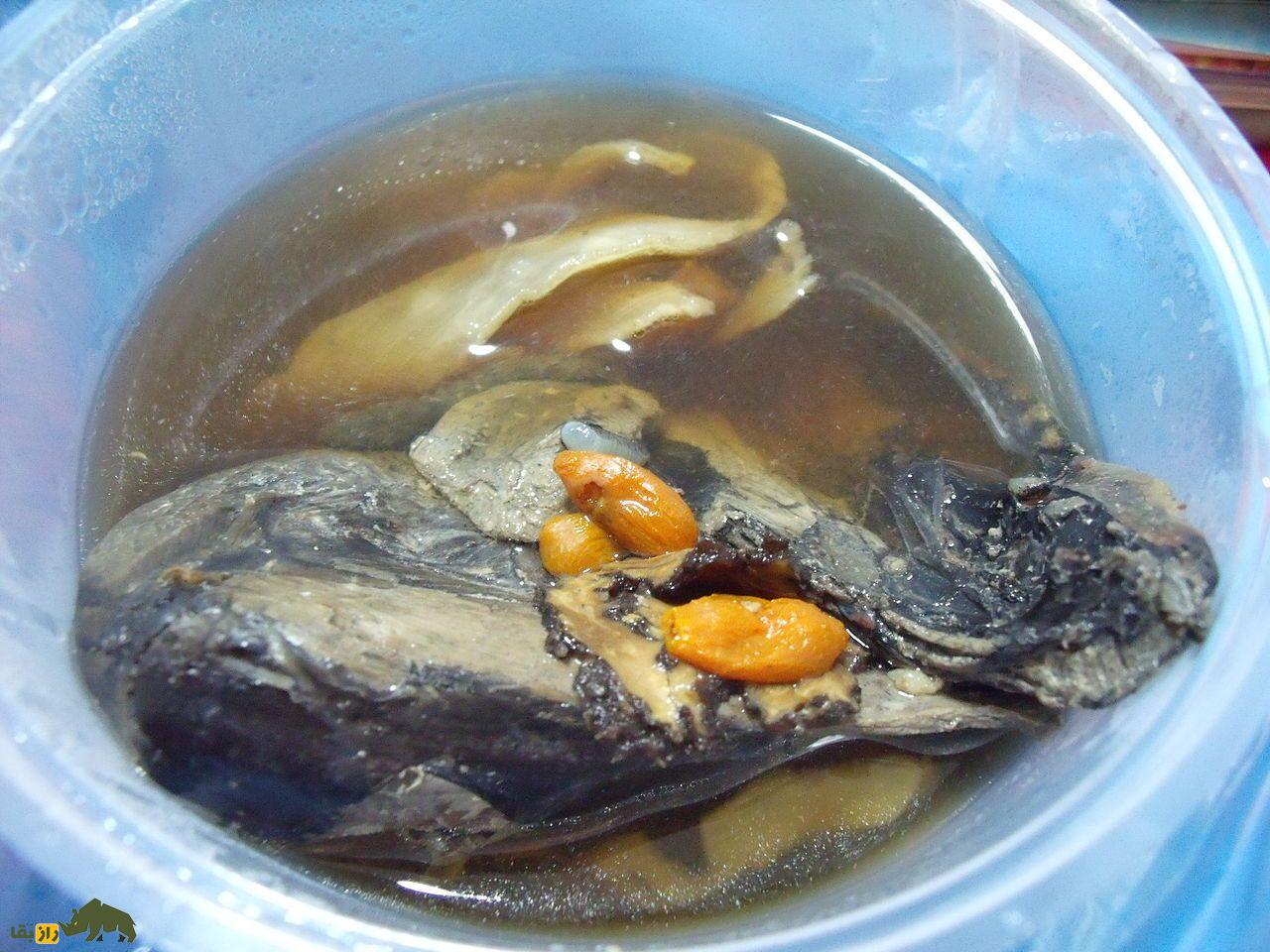 مرغ و خروس ابریشمی؛ زیباترین خروس جهان که تمام بدنش پَر دارد و گوشتش سیاه است! مرغ و خروس ابریشمی؛ زیباترین خروس جهان که تمام بدنش پَر دارد و گوشتش سیاه است!