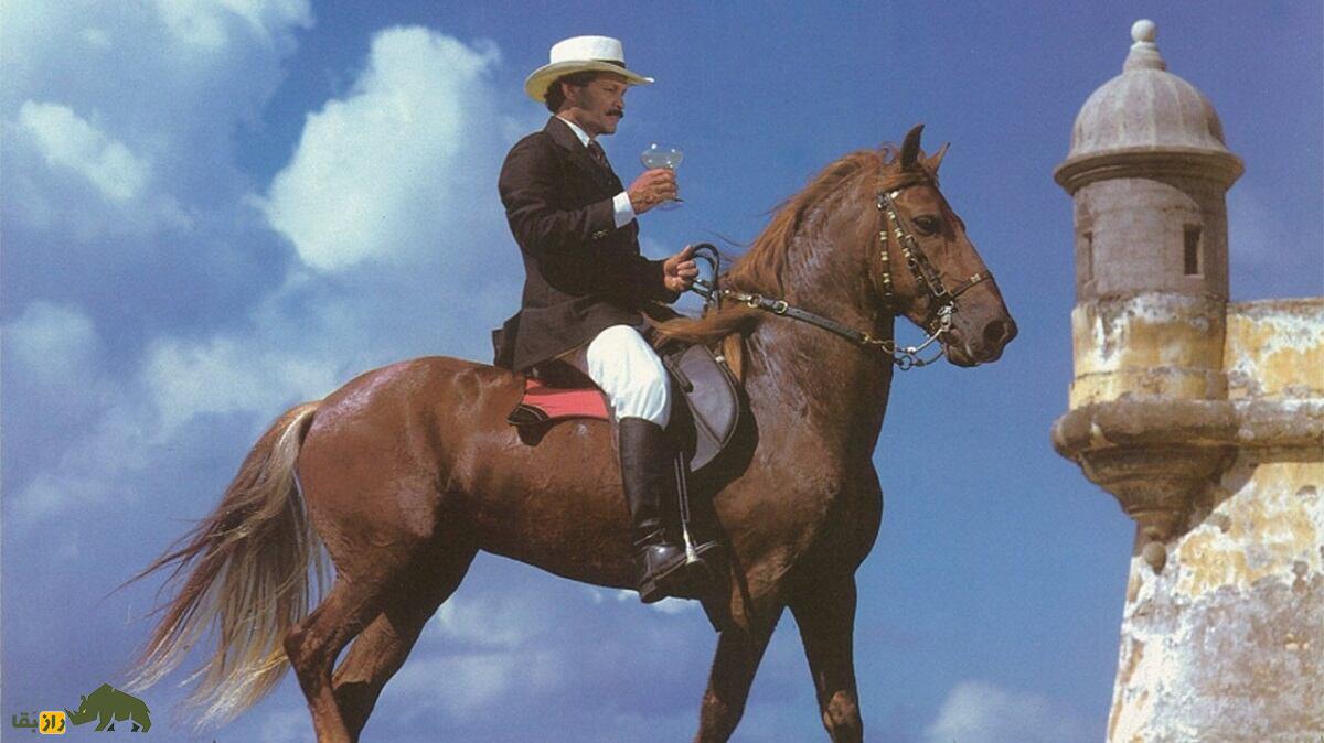 اسب پاسو فینو؛ تنها اسب جهان که چشمانش شبیه چشم ببر است اسب پاسو فینو؛ تنها اسب جهان که چشمانش شبیه چشم ببر است