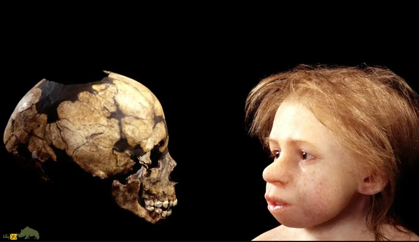 رفتار باورنکردنی انسانهای اولیه با کودکان مبتلا به سندروم داون بازسازی یک کودک از عصر حجر و یه اسکلت