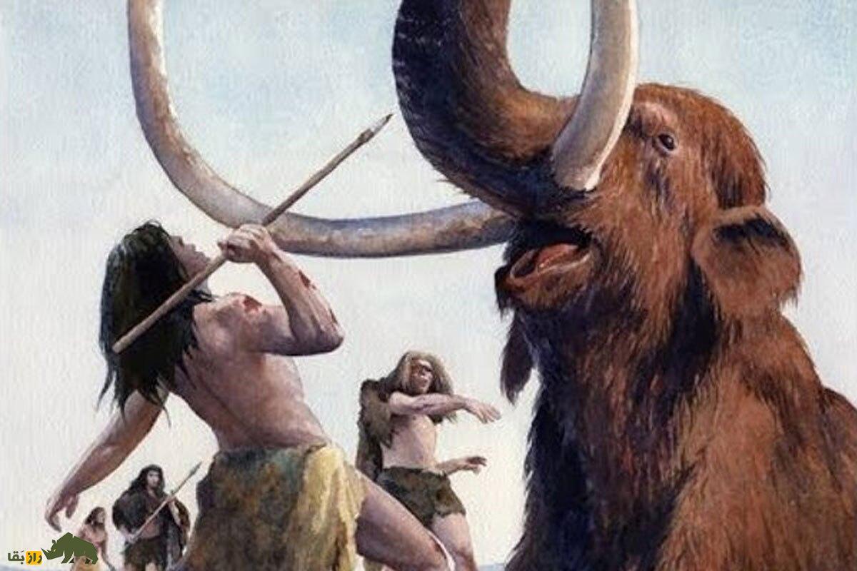 روش باورنکردنی انسانهای اولیه برای شکار ماموت روش باورنکردنی انسانهای اولیه برای شکار ماموت