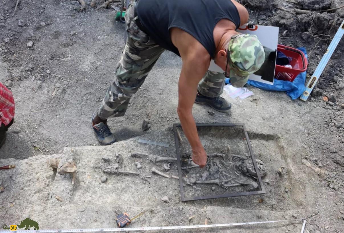 کشف اسکلت «کودکان خون‌آشام» سر بریده، باستان‌شناسان را شوکه کرد!