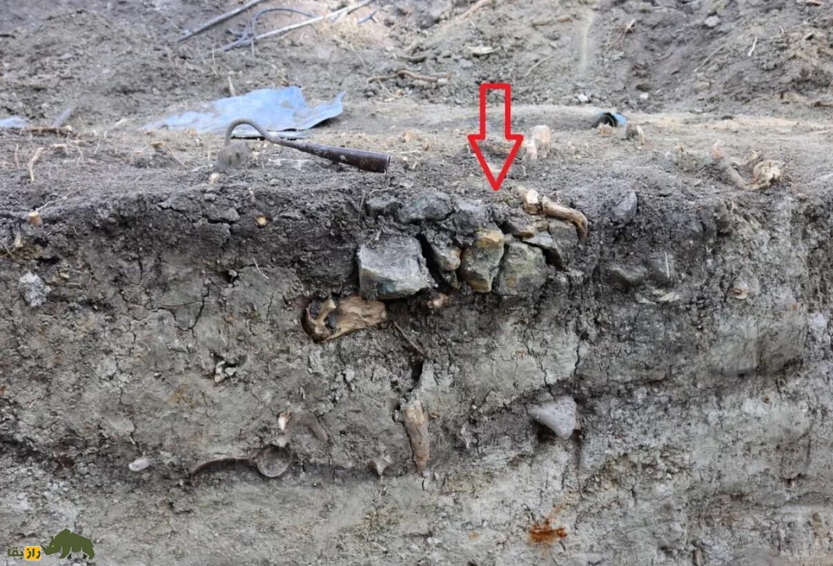 کشف اسکلت «کودکان خون‌آشام» سر بریده، باستان‌شناسان را شوکه کرد!