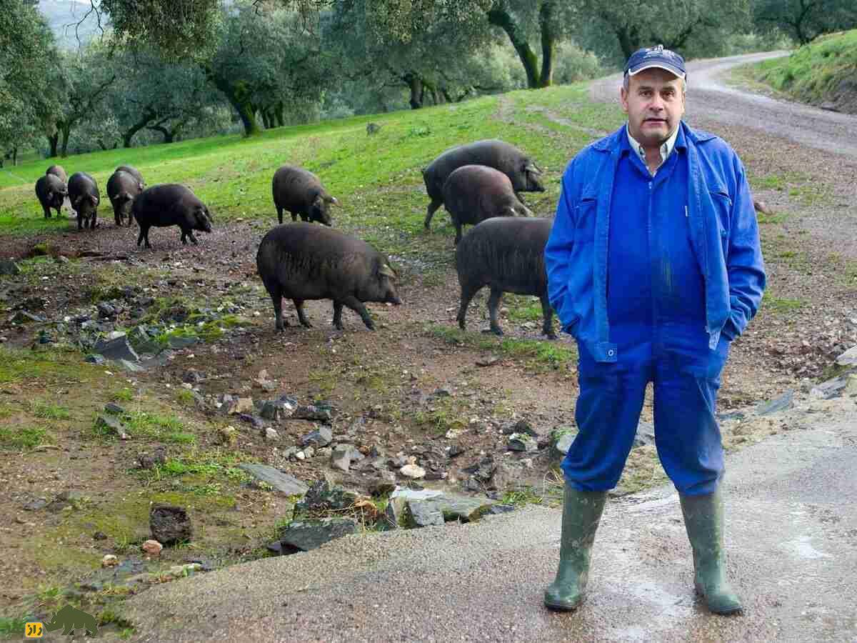 خوک ایبری؛ خوکی که گرانترین ژامبون دنیا را تولید میکند خوک ایبری؛ خوکی که گرانترین ژامبون دنیا را تولید میکند