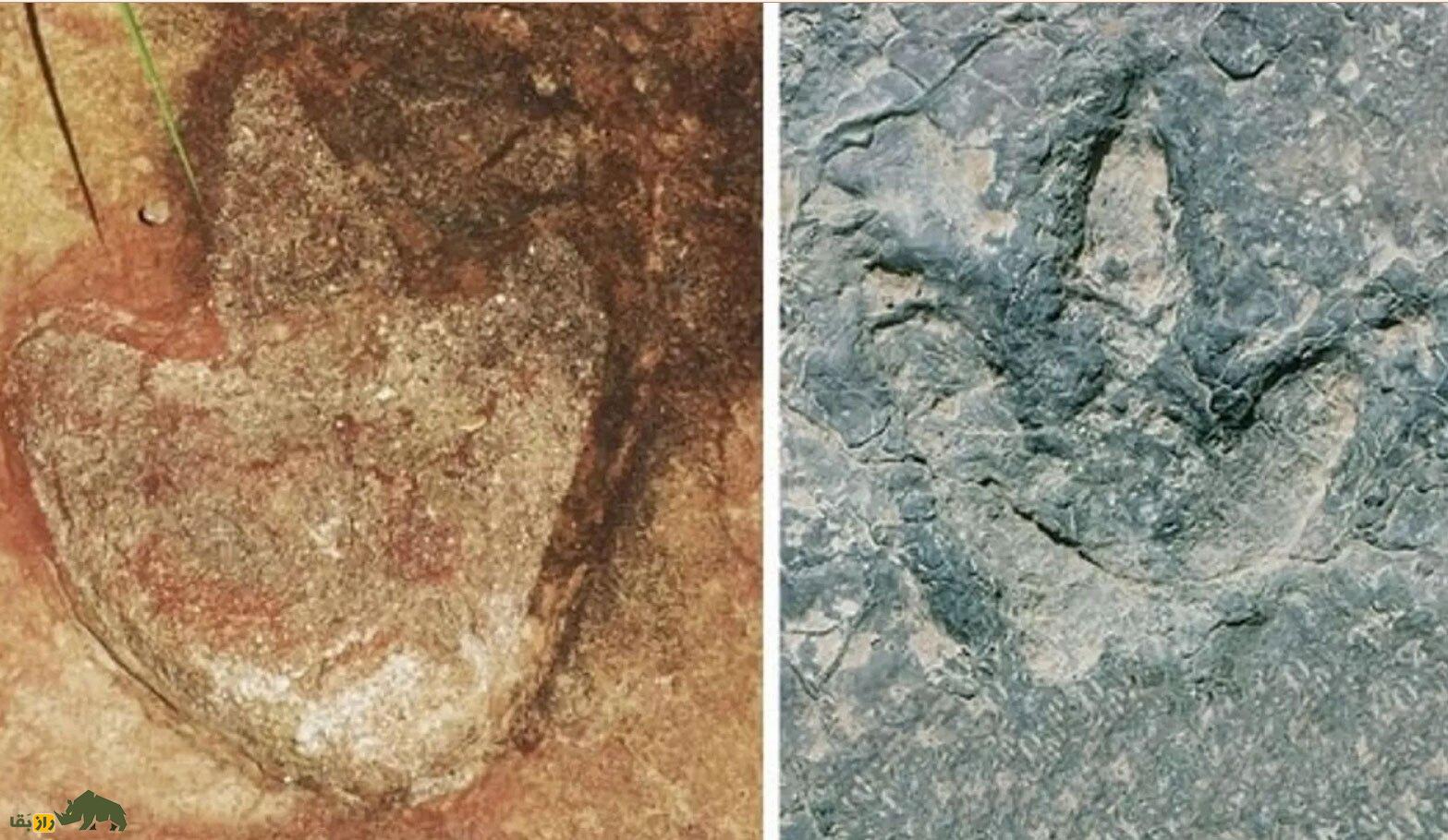 اسرار یک ردپای ۱۲۰ میلیون ساله؛ دایناسور‌ها چطور فاصله بین دو اقیانوس را طی می‌کردند؟