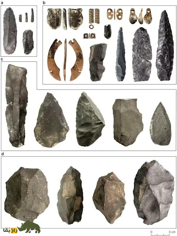 سکس انسان با نئاندرتال در «غار استخوان»؛ چگونه رابطه جنسی انسان اولیه و نئاندرتال جهان را تغییر داد؟