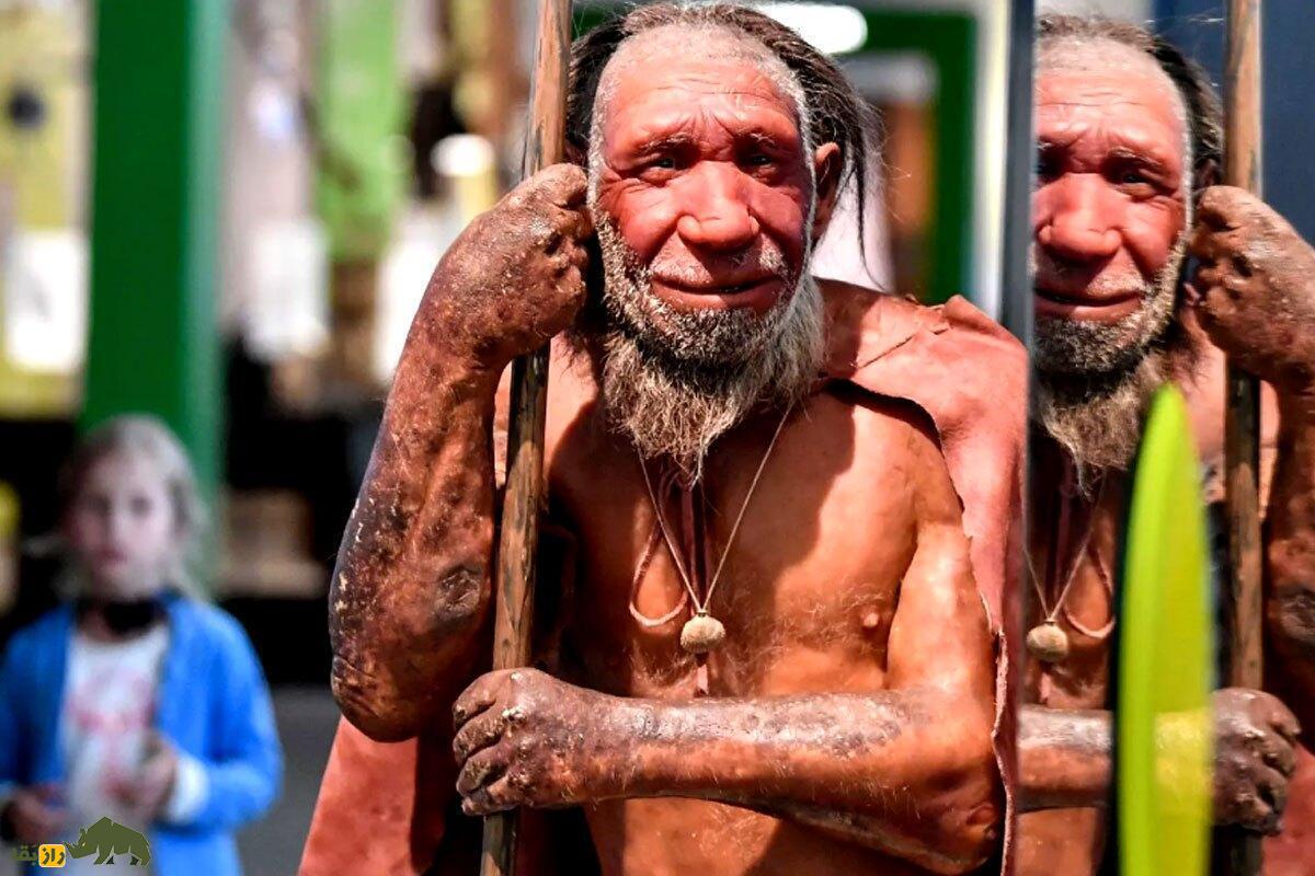 سکس انسان با نئاندرتال در «غار استخوان»؛ چگونه رابطه جنسی انسان اولیه و نئاندرتال جهان را تغییر داد؟