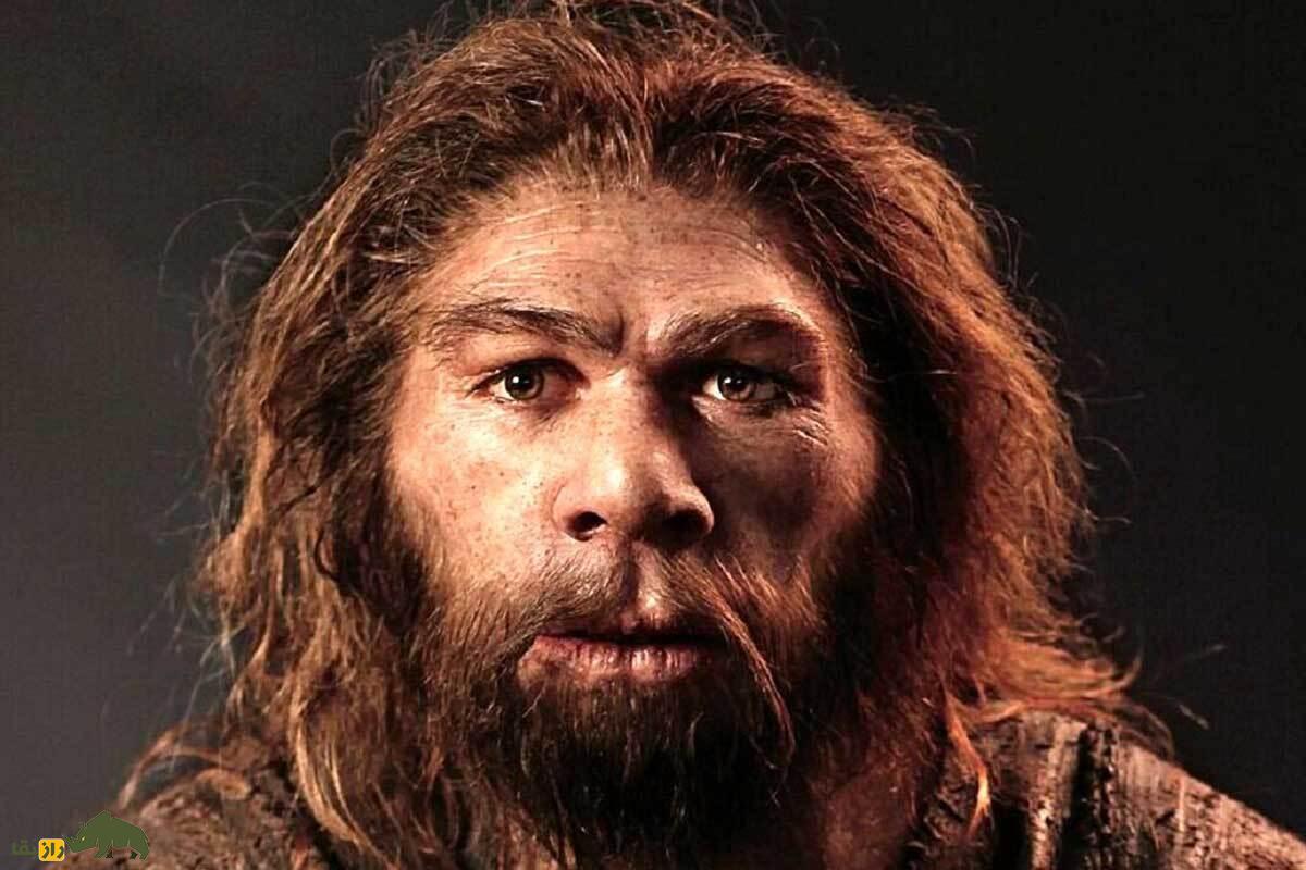 سکس انسان با نئاندرتال در «غار استخوان»؛ چگونه رابطه جنسی انسان اولیه و نئاندرتال جهان را تغییر داد؟