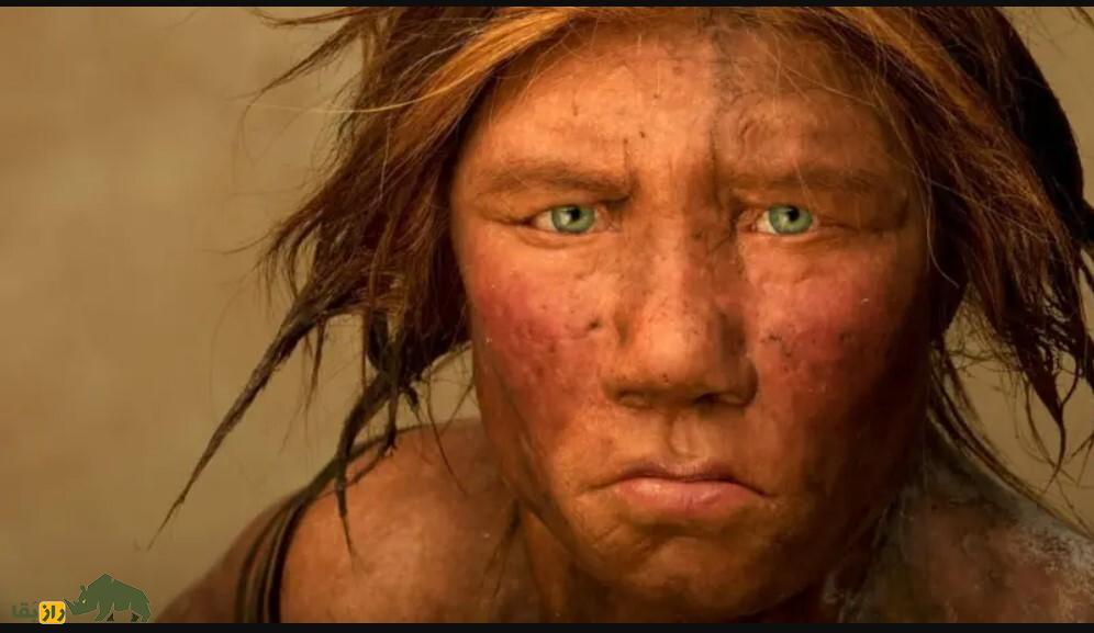 سکس انسان با نئاندرتال در «غار استخوان»؛ چگونه رابطه جنسی انسان اولیه و نئاندرتال جهان را تغییر داد؟