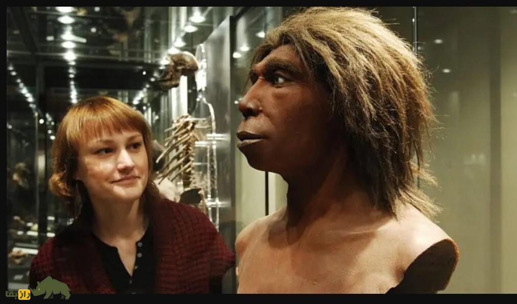 سکس انسان با نئاندرتال در «غار استخوان»؛ چگونه رابطه جنسی انسان اولیه و نئاندرتال جهان را تغییر داد؟