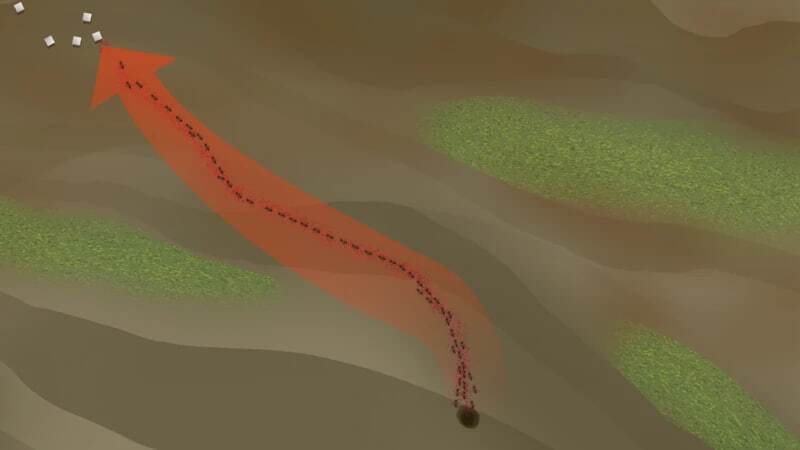 مورچههایی که با قطع پای مورچهای دیگر، جان او را نجات میدهند مورچههایی که با قطع پای مورچهای دیگر، جان او را نجات میدهند