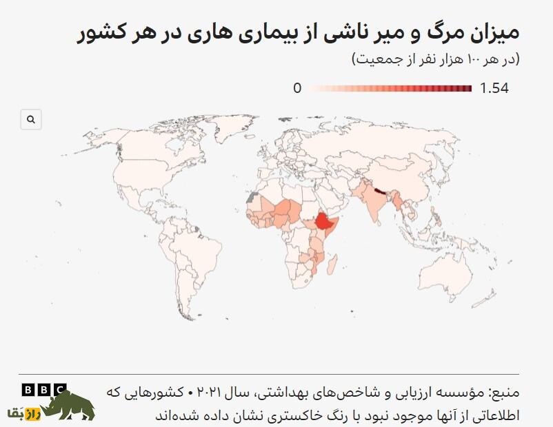 دانشمندان بهترین روش برای جلوگیری از افزایش جمعیت سگ‌های ولگرد را پیدا کردند
