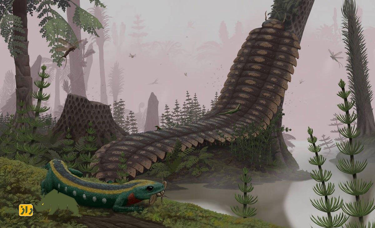 هزار پای غولپیکر سه متری؛ بازگشت مخوف جانور منقرض شده به طبیعت! هزار پای غولپیکر سه متری؛ بازگشت مخوف جانور منقرض شده به طبیعت!