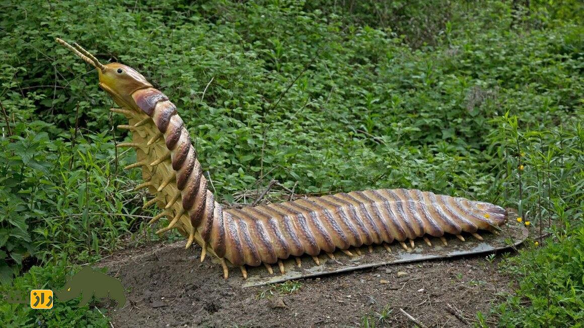 هزار پای غولپیکر سه متری؛ بازگشت مخوف جانور منقرض شده به طبیعت! هزار پای غولپیکر سه متری؛ بازگشت مخوف جانور منقرض شده به طبیعت!