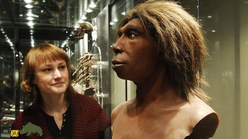 یک کشف باورنکردنی؛ انسانها از کجا بوسیدن یکدیگر را آغاز کردند و دلیل آن چه بود؟ زنی در کنار مجسمه یک زن از انسان های اولیه در موزه