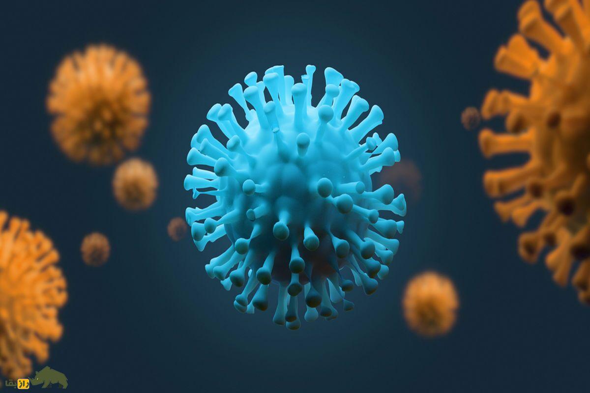 تصویر گرافیکی از یک ویروس