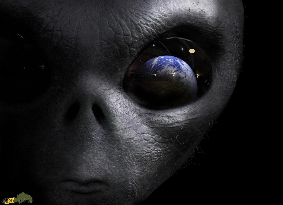 چهره آدم فضایی