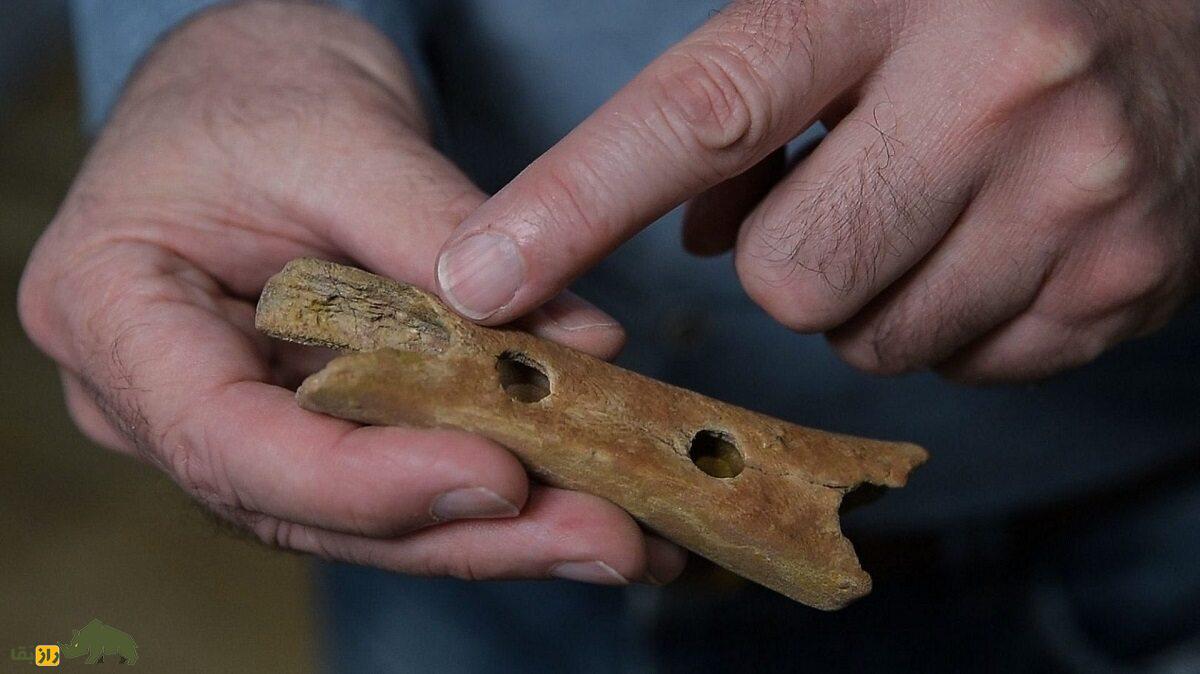 نئاندرتالها با چه ابزاری به موسیقی گوش میدادند نئاندرتالها با چه ابزاری به موسیقی گوش میدادند